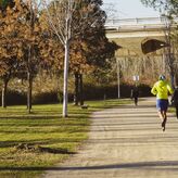 Adjudicadas por 686070 euros mejoras de jardines y caminos del Guadiana y Proserpina