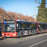 El transporte urbano seguir siendo gratuito en Mrida el segundo semestre de 2025 