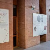 Centro Cultural Alcazaba de Mrida acoge exposicin Ellas Hablan en Festival de Mrida