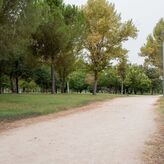 Las zonas verdes de Mrida contarn con un plan de mejoras en los riegos