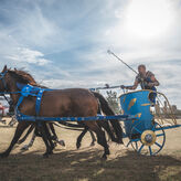 Los festivos locales de Mrida en 2026 sern el 21 de mayo y el 10 de diciembre
