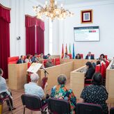 El Ayuntamiento de Mrida aprueba de forma inicial el Plan de Movilidad Urbana Sostenible