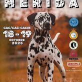 IFEME acoger la Exposicin Nacional e Internacional Canina de Mrida con 800 ejemplares