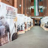 Muestra itinerante Lugares y Episodios de Historia y Memoria 1936 1939 llega a Mrida