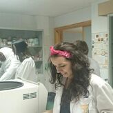 Un total de 71 proyectos de IDI se pondrn en marcha en los centros pblicos del SECTI