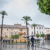 El Ayuntamiento de Mrida aconseja no circular ni pasear por zonas arboladas o parques