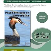 ADENEX llena de vida la ciudad de Mrida durante este mes de noviembre