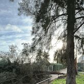 La Polica Local de Mrida atiende 256 llamadas e incidentes ocasionados por Kristin