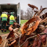 Ayuntamiento Mrida habilita oficina para atender incidencias provocadas por el temporal