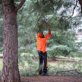 La Oficina por Incidencias del Temporal de Mrida podra ampliar su plazo de atencin 