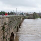 Ayuntamiento Mrida mantendr abierta esta semana la oficina de atencin por el temporal