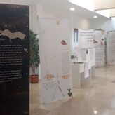 La Biblioteca de La Antigua de Mrida celebra el Da de la Poesa