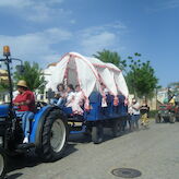 Sanidad pedir a alcaldes extremeos que suspendan procesiones o romeras Lunes de Pascua