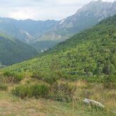 Un taller online de Diputacin muestra cmo implementar soluciones basadas en naturaleza