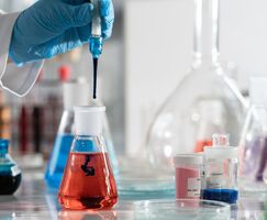 Proyecto Extremadura financiar estancias internacionales para jvenes investigadores