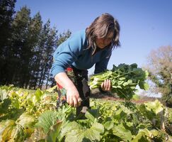 Campaa de FEXAMUR busca visibilizar papel de las mujeres en el sector agroalimentario