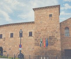 La Junta de Extremadura aprueba decretoley para evitar paralizacin administrativa