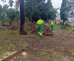 MAPA abre plazo para comunicar daos causados por borrascas en caminos agrarios y regados
