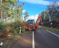 Plazo para solicitar exencin del IBI y el IAE por daos por borrascas se abre este martes