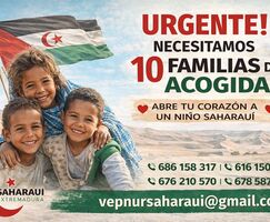 Diez menores saharauis necesitan familias de acogida en Extremadura
