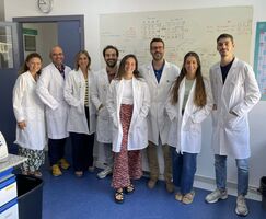 Estudio UEx identifica una protena clave para la proteccin del epitelio respiratorio