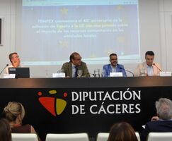 Ayuntamientos Diputaciones y Junta piden que Europa cuente con voz de regiones y pueblos