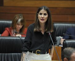 PSOE denuncia que la Junta abandona el convenio estatal para emergencias humanitarias
