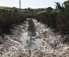 Publicada relacin de 1433 agricultores y ganaderos beneficiarios ayudas por borrascas