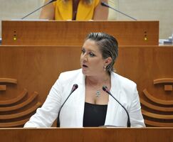 PSOE pide a Junta que deje de gestionar los servicios pblicos a golpe de improvisacin
