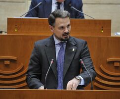 La Asamblea convalida decreto que destina 10M en ayudas a zonas afectadas por incendios