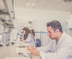 El 782 de los titulados de la UEx en el curso 20222023 tiene trabajo