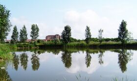 Organizaciones ambientales plantean a Junta prioridades Estrategia Restauracin Naturaleza