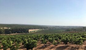 La Unin pide transparencia a Junta en inversin de 20M en regado de Tierra de Barros 
