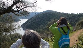 Autorizada la firma de un acuerdo marco para contratar obras forestales en montes 