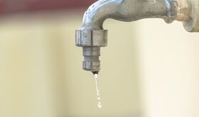 CCOO pide solucin inmediata a deficiencias en suministro agua en Ecoparque de Mirabel 