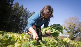 Campaa de FEXAMUR busca visibilizar papel de las mujeres en el sector agroalimentario