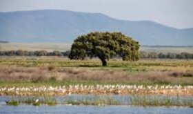 Junta modificar lmites de 52 espacios protegidos tras ver errores en su delimitacin