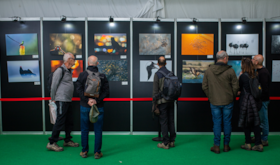 Feval recibir una 61000 de la Junta para financiar la XXI FIO