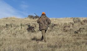 Fedexcaza destaca la puesta en marcha en Extremadura la recogida gratuita de Sandach