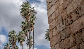 La Junta activa la situacin operativa 0 del PLATERCAEX en la regin por lluvias y vientos