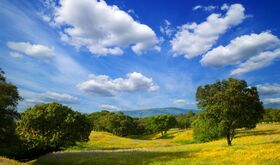 Convenio entre Asici y Cicytex impulsar la investigacin y la proteccin de la dehesa