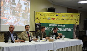 DO Dehesa de Extremadura Jabugo y Los Pedroches en jornada El cerdo en la dehesa