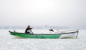 XXXV Certamen Fotogrfico Internacional Semana de la Cigea de Malpartida de Cceres