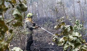 Aprobada cotizacin adicional para que agentes y bomberos forestales anticipen jubilacin