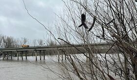 Seis estaciones de aforo de la cuenca del Tajo superan el umbral rojo