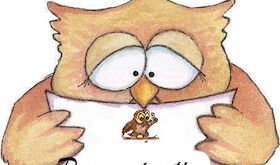 El Equipo del Mochuelo hace un balance prometedor al tener ya recaudados 45500 euros