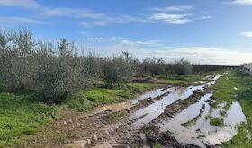 Activado Nivel 2 Plan de Emergencias Municipal en Coria y desalojo preventivo de La Isleta