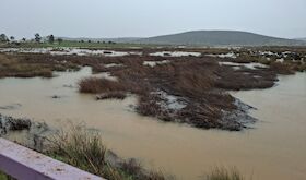 Ocho estaciones de aforo superan umbral de aviso hidrolgico rojo en cuenca del Guadiana