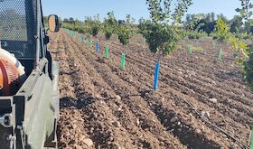 Sancorganic concluye el procesamiento de sus primeros 4000 kilos de pistacho ecolgico