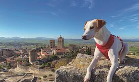 La gua Extremadura con perro promociona la regin como destino amigable para mascotas